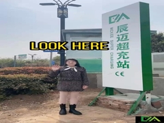 Carregador do ev da C.C.